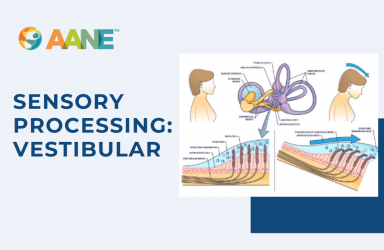 Online “Open” Workshop – Sensory Processing: Vestibular, 7/16/24, 9:00 AM – 10:00 AM ET